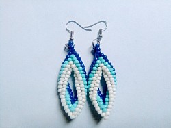 Blue toned earrings $31